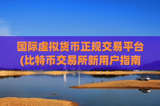 国际虚拟货币正规交易平台(比特币交易所新用户指南)