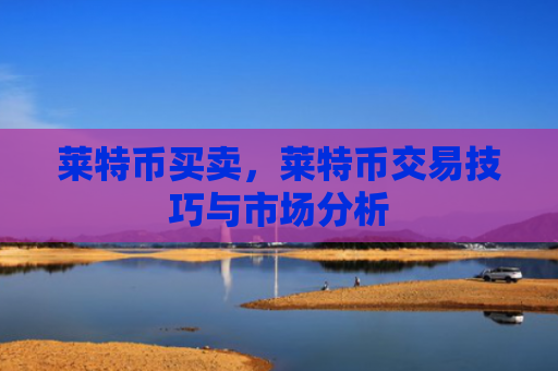 莱特币买卖，莱特币交易技巧与市场分析