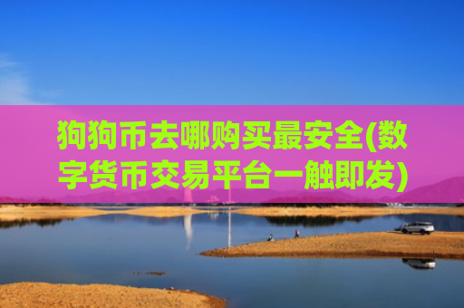 狗狗币去哪购买最安全(数字货币交易平台一触即发)