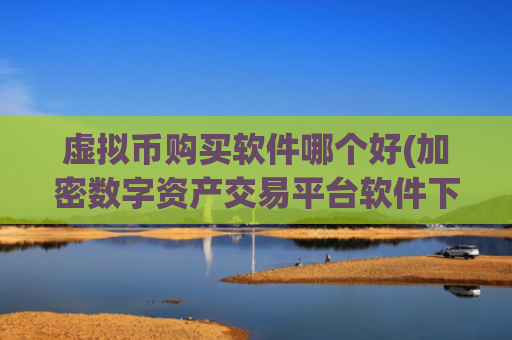 虚拟币购买软件哪个好(加密数字资产交易平台软件下载)