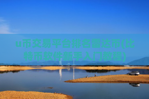 u币交易平台排名雷达币(比特币软件新手入门教程)