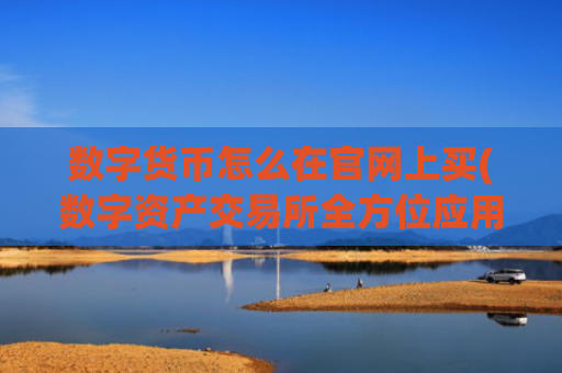 数字货币怎么在官网上买(数字资产交易所全方位应用)