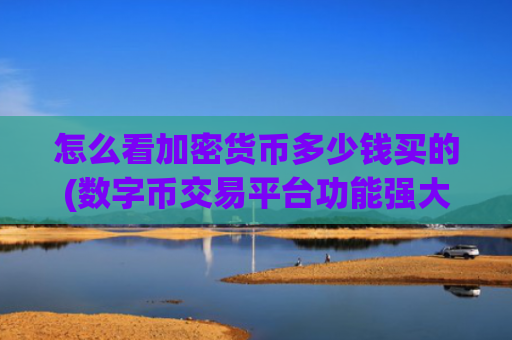 怎么看加密货币多少钱买的(数字币交易平台功能强大)