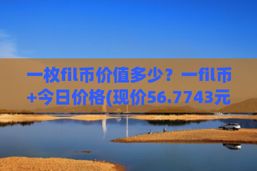 一枚fil币价值多少？一fil币+今日价格(现价56.7743元)
