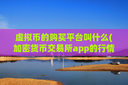 虚拟币的购买平台叫什么(加密货币交易所app的行情分析)