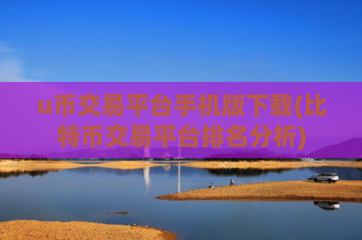 u币交易平台手机版下载(比特币交易平台排名分析)