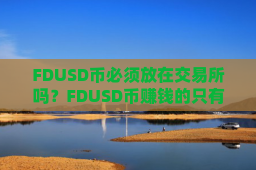 FDUSD币必须放在交易所吗？FDUSD币赚钱的只有交易网站