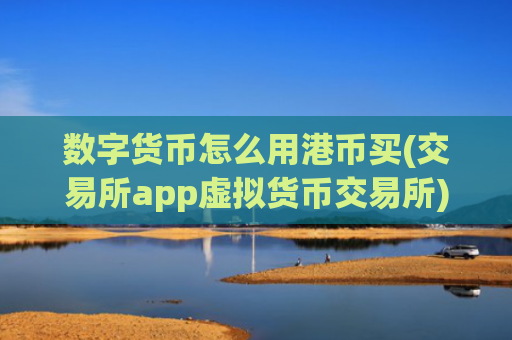 数字货币怎么用港币买(交易所app虚拟货币交易所)