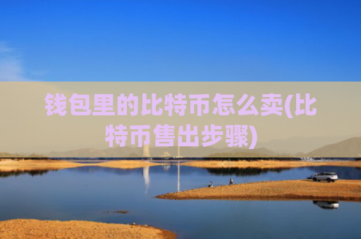 钱包里的比特币怎么卖(比特币售出步骤)