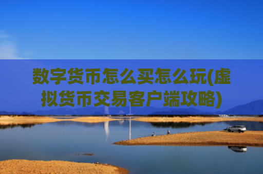 数字货币怎么买怎么玩(虚拟货币交易客户端攻略)