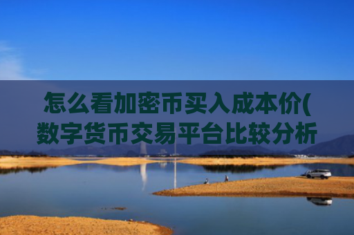 怎么看加密币买入成本价(数字货币交易平台比较分析)
