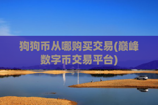 狗狗币从哪购买交易(巅峰数字币交易平台)