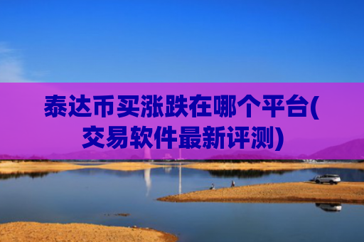 泰达币买涨跌在哪个平台(交易软件最新评测)
