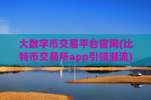 大数字币交易平台官网(比特币交易所app引领潮流)
