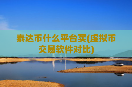 泰达币什么平台买(虚拟币交易软件对比)