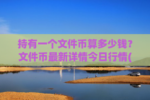 持有一个文件币算多少钱？文件币最新详情今日行情(现价56.1285元)
