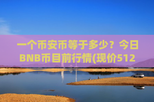 一个币安币等于多少？今日BNB币目前行情(现价5121.15元)