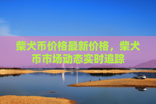 柴犬币价格最新价格，柴犬币市场动态实时追踪