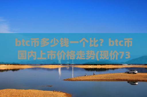 btc币多少钱一个比？btc币国内上市价格走势(现价734256.6元)