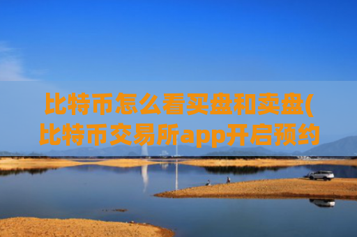 比特币怎么看买盘和卖盘(比特币交易所app开启预约)