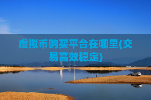 虚拟币购买平台在哪里(交易高效稳定)