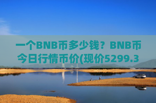 一个BNB币多少钱？BNB币今日行情币价(现价5299.34元)