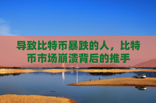 导致比特币暴跌的人,比特币市场崩溃背后的推手