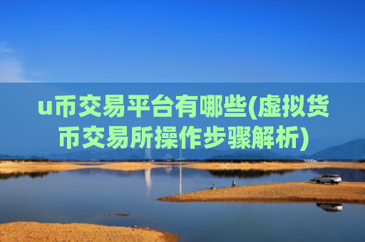 u币交易平台有哪些(虚拟货币交易所操作步骤解析)