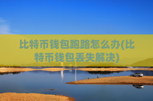 比特币钱包跑路怎么办(比特币钱包丢失解决)