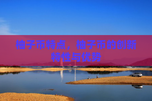 柚子币特点，柚子币的创新特性与优势