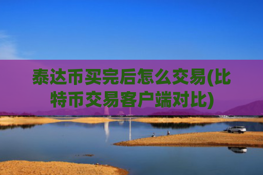 泰达币买完后怎么交易(比特币交易客户端对比)