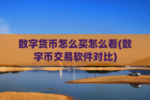 数字货币怎么买怎么看(数字币交易软件对比)
