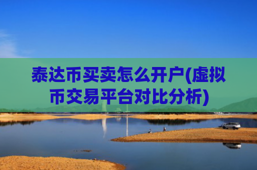 泰达币买卖怎么开户(虚拟币交易平台对比分析)