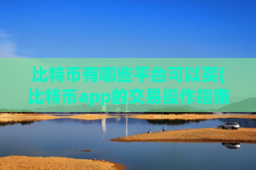 比特币有哪些平台可以买(比特币app的交易操作指南)
