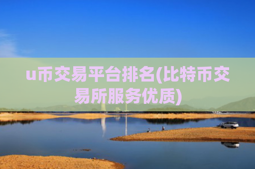 u币交易平台排名(比特币交易所服务优质)