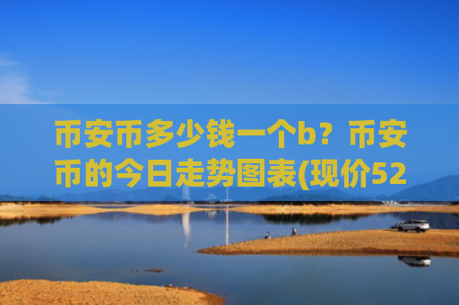 币安币多少钱一个b？币安币的今日走势图表(现价5295.06元)