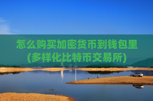 怎么购买加密货币到钱包里(多样化比特币交易所)