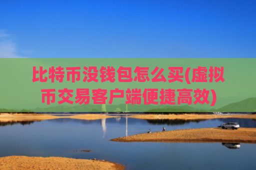 比特币没钱包怎么买(虚拟币交易客户端便捷高效)