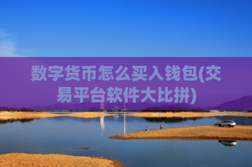 数字货币怎么买入钱包(交易平台软件大比拼)