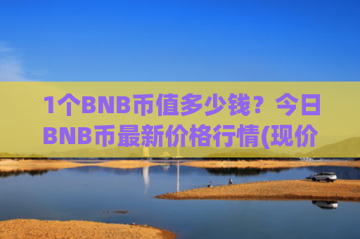 1个BNB币值多少钱？今日BNB币最新价格行情(现价5300.08元)