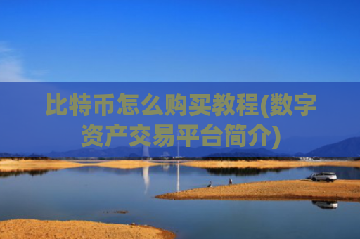 比特币怎么购买教程(数字资产交易平台简介)