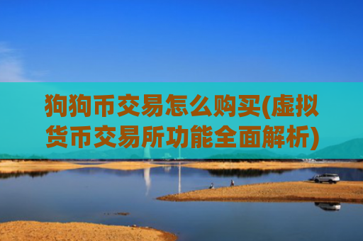 狗狗币交易怎么购买(虚拟货币交易所功能全面解析)