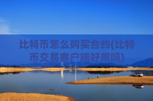 比特币怎么购买合约(比特币交易客户端好用吗)