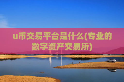 u币交易平台是什么(专业的数字资产交易所)