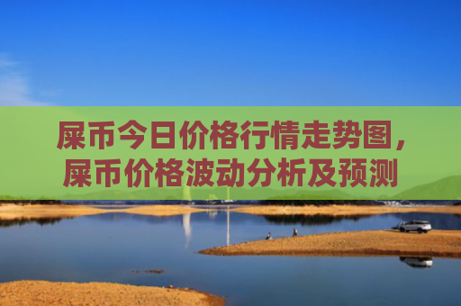 屎币今日价格行情走势图,屎币价格波动分析及预测