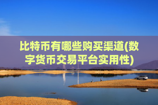 比特币有哪些购买渠道(数字货币交易平台实用性)