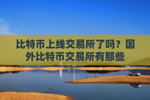 比特币上线交易所了吗?国外比特币交易所有那些