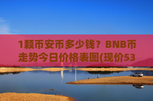 1颗币安币多少钱？BNB币走势今日价格表图(现价5329.08元)