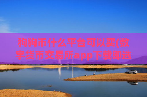 狗狗币什么平台可以买(数字货币交易所app下载即选用)