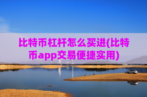 比特币杠杆怎么买进(比特币app交易便捷实用)